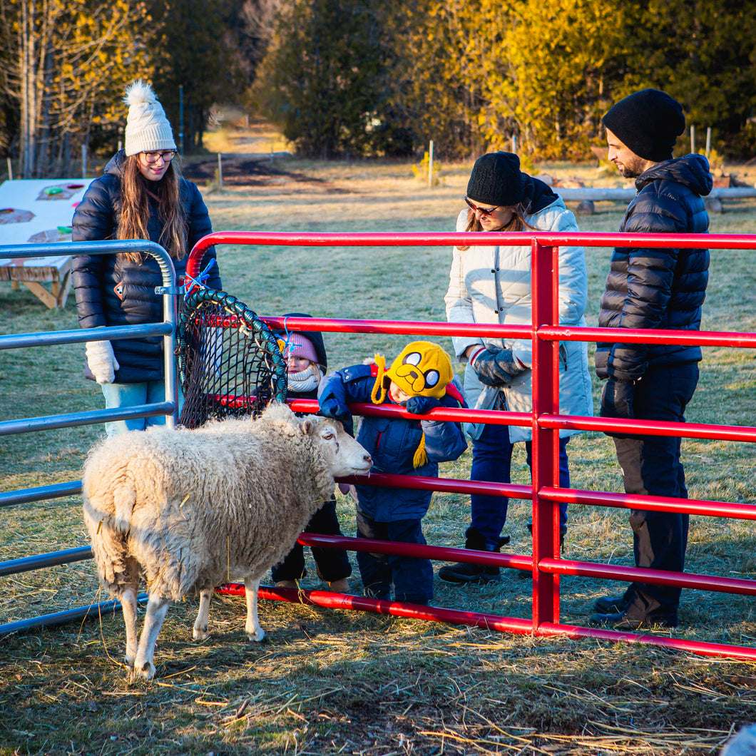 Holiday Family Fun Farm - Season Family Pass